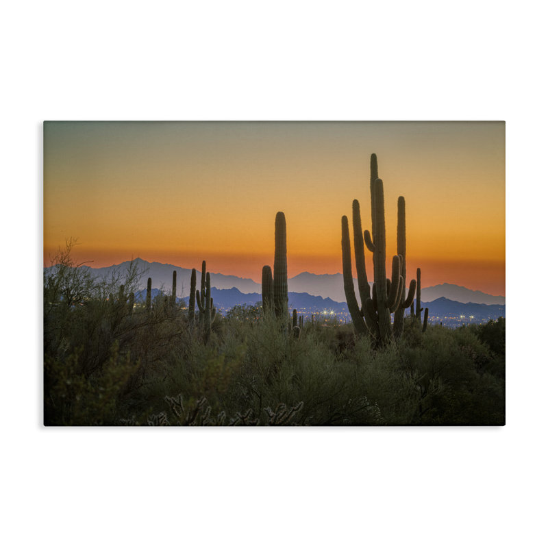 Art mural sur toile Lacting Cacti Sunset par Marty Hulsebos, H 16 po x l 24 po