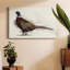 Pheasant Splash 1-Gallery Wrapped Canvas-43957672