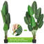 Plante de 19,7 po