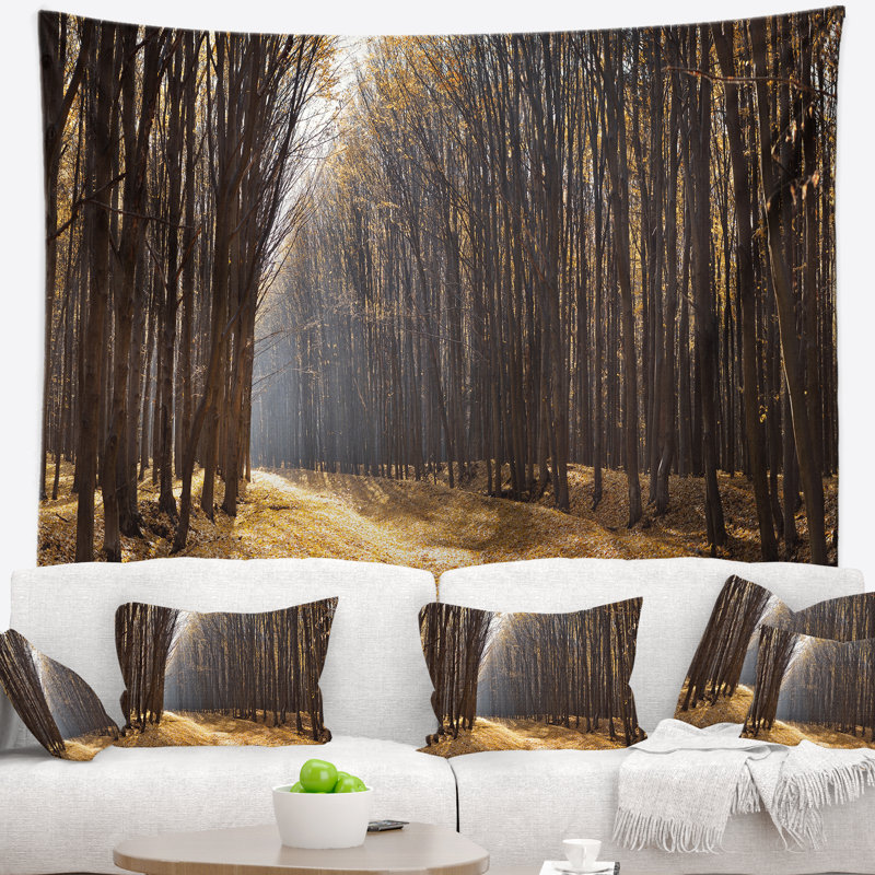 Lumière sur le chemin forestier, tapisserie panoramique, H 32 po x l 39 po
