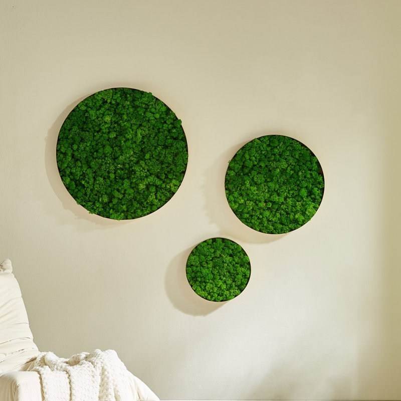 Décoration murale ronde en mousse encadrée, seulement le médium 18,1 * 18,1 * 2 po