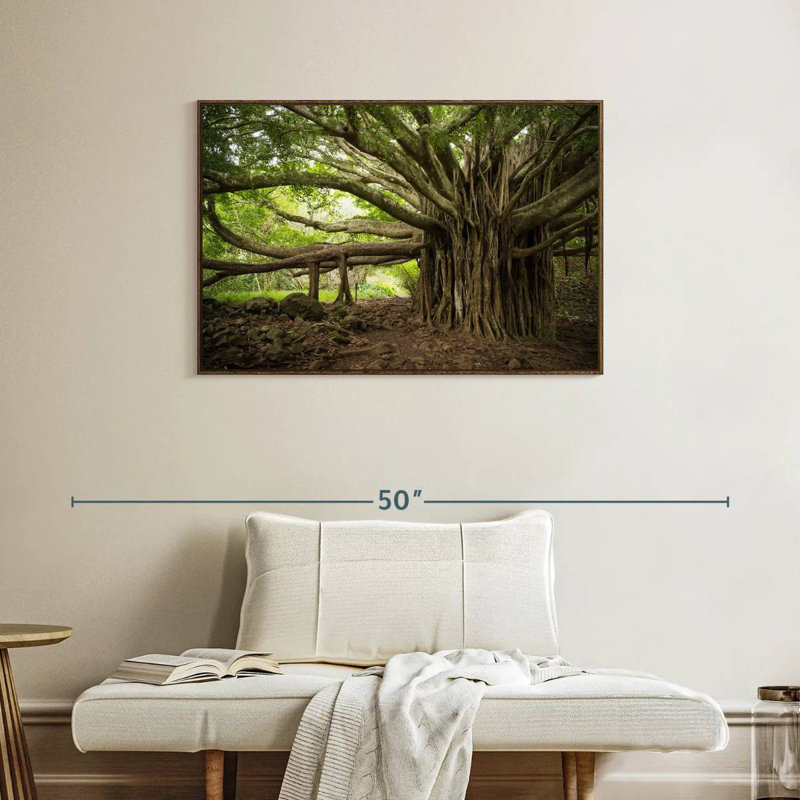 Banyan Tree, 37 po x 25 po, Cadre flottant noyer
