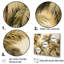 Palmier, désert, oasis III - palmiers, reproduction d'art sur toile-97092537-97092538
