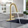 Vetta Pull Down Kitchen Faucet
