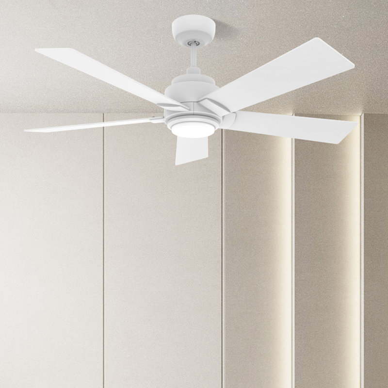 56" 5 - Blade LED Smart Ceiling Fan with Light, White, White