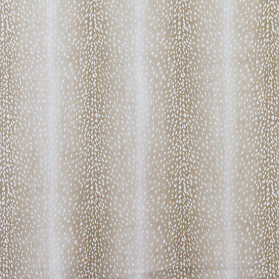 Wiley Fabric