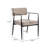 Xzavier Mid-Century Modern Upholstered Dining Armchair With Iron Frame-1725959404