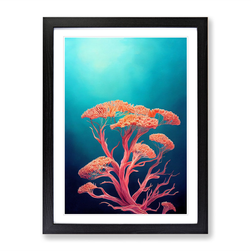 Pretty Coral - Single Picture Frame Print, Black Framed, 34cm H x 25cm W x 2cm D
