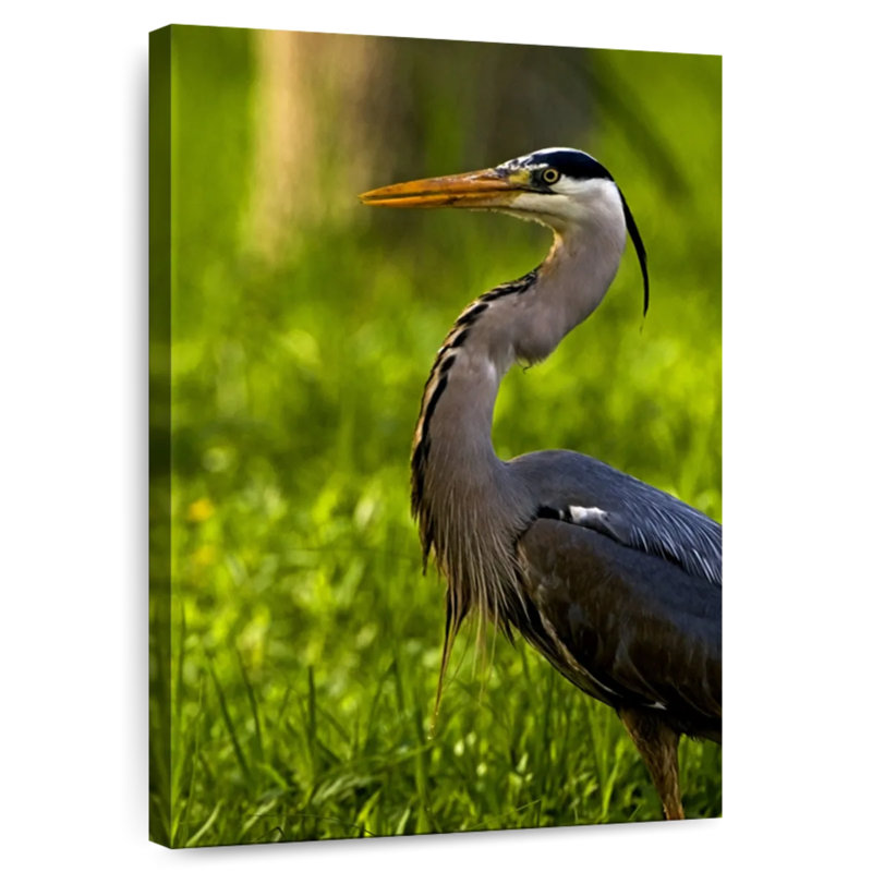 Brampt Grassland Grey Heron, 24" H x 16" W