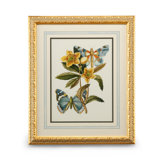 Butterfly Oasis III Print