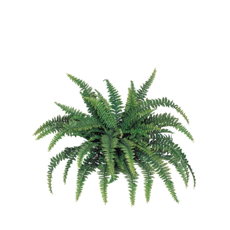 Fausse fougère 48 po - verdure artificielle d'intérieur réaliste