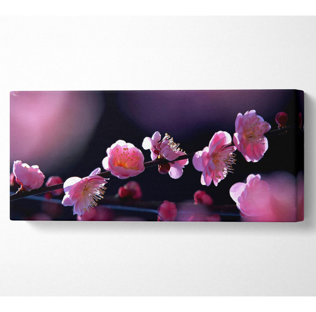 Pink Blossom Flowers - Kunstdrucke auf Segeltuch