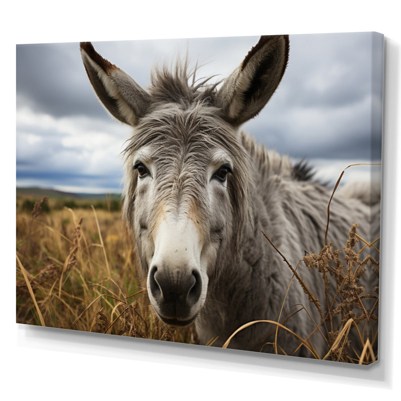 «Grey Donkey Gentle Companion», reproduction sur toile, H 16 po x l 32 po x P 1 po, Toile tendue