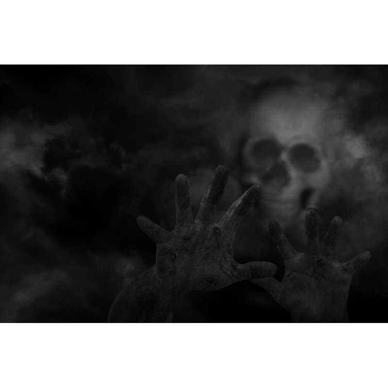 Ghost by Holwichaikawee - Wrapped Canvas Print, 30cm H x 46cm W