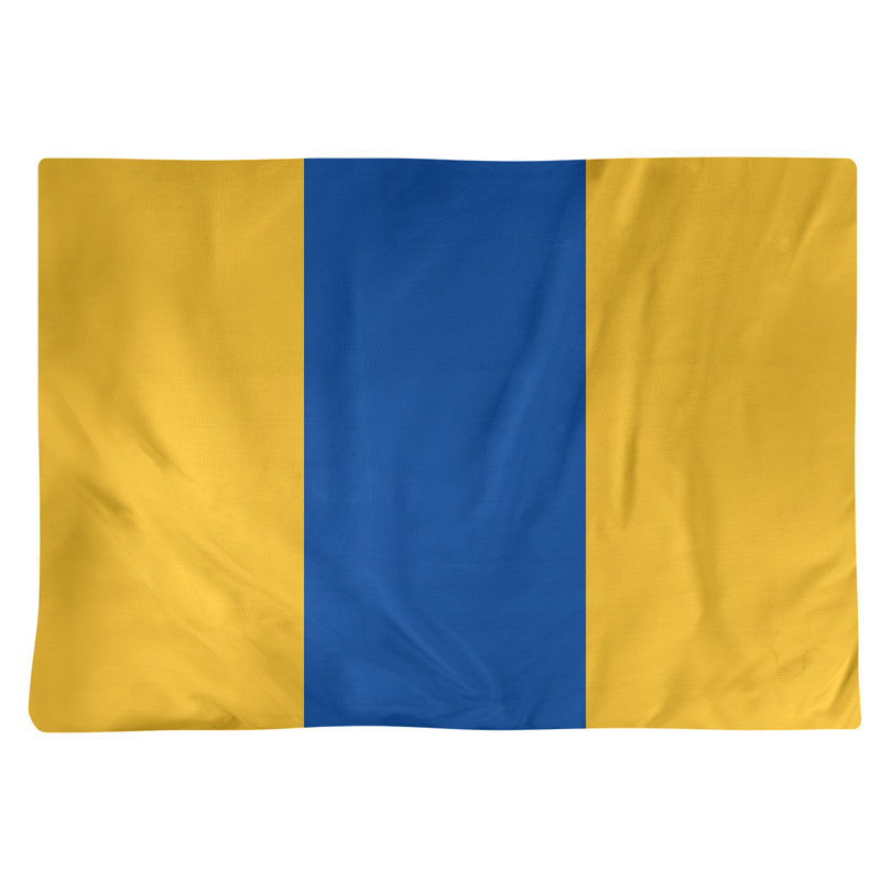 Récapitulatif 14" hockey St. Louis, Doré / bleu royal / doré, Polyester