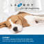 Lit pour chien Rosie Lounger-1594732857-1594732858
