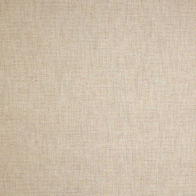 Indira Chevron Fabric
