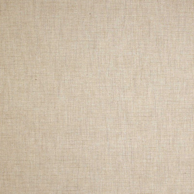 Indira Gilmer Brulee Fabric