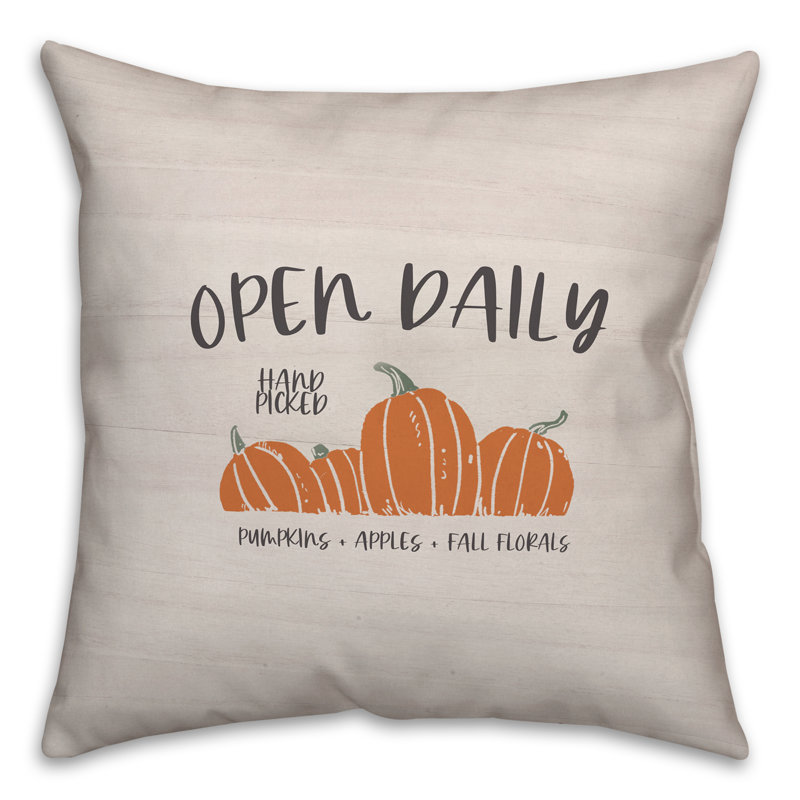 Housse de coussin et insert Open Open, 16 po x 16 po