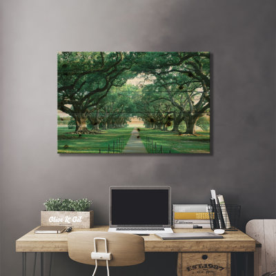 Chemin de brique dans l'allée de chênes, Louisiane, Nouvelle-Orléans, États-Unis par Panoramic Images - non encadrée, impression sur bois