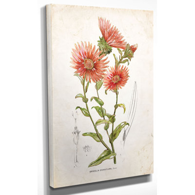 " Botanical I " by Nan
