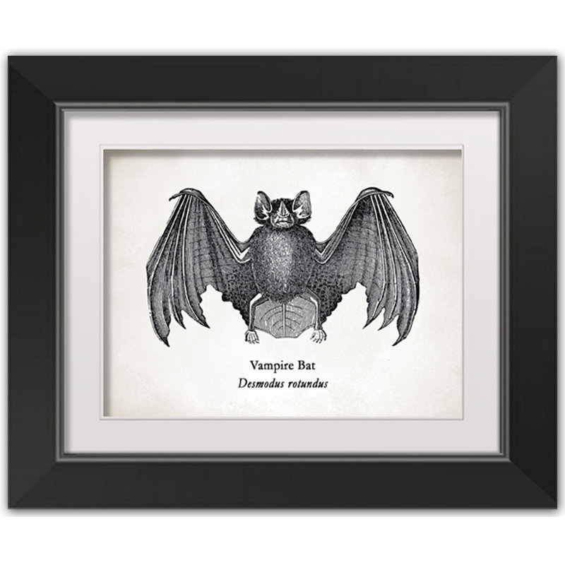 Bat - Impression sur cadre photo