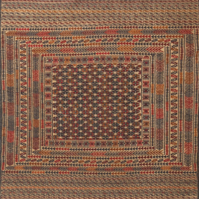 Amaar Oriental Indoor Rug