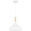 Luminaire suspendu 1 lumière Rosealina-1233928298
