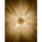 Ceiling Light