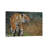 Indo Chinese Tiger by David Stribbling - Gallery-Wrapped Canvas Giclée on Canvas-1630058008-1630058013