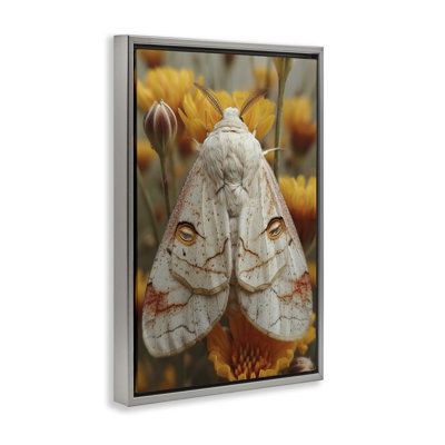 Delicate Luna Moth Black Framed Floater Canvas by Roozbeh Bahramali