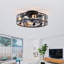 Ventilateur de plafond noir moderne 20 po