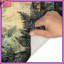 Sunlight Through Ferns Bath Mat-599746656