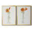 «California Poppy Vase I», reproduction encadrée de qualité supérieure - prête à être accrochée-2125656882-2125656886