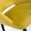 Mattera 48cm H Velvet Upholstered Armchair-1147119614
