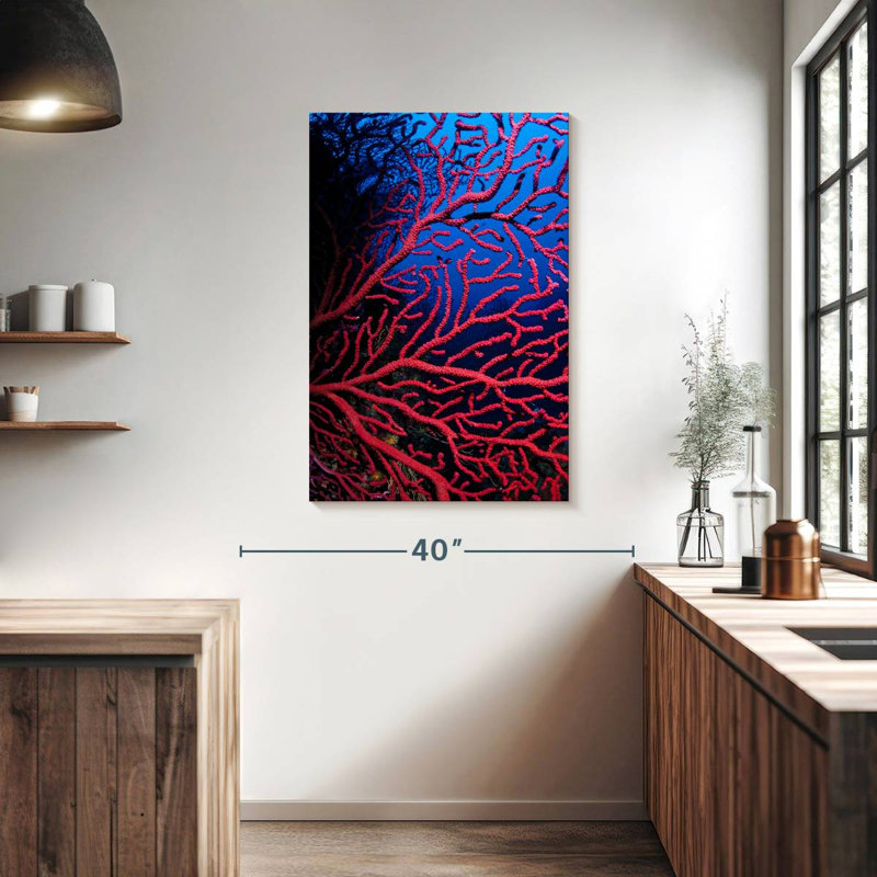 Brampt Violescent Sea Whip, 39" H x 26" W
