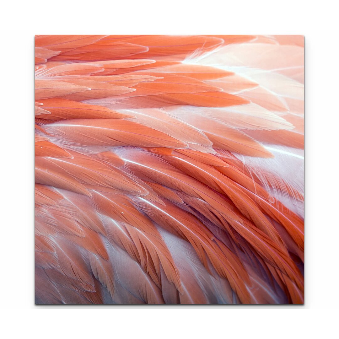 Leinwandbild Flamingo Federn