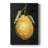 Dark Lemon II " Dark Lemon II "-170012150