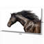 « stallion black stallion on white art », reproduction d’impression sur toile tendue campagne-29490840