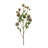 Allium Arrangement-1996636875