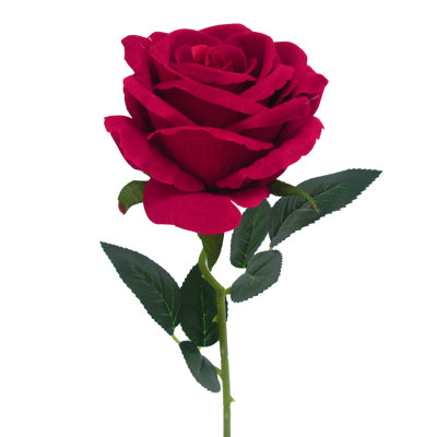 Rose Arrangement