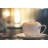Solac Pro Stainless Steel Automatic Milk Frother