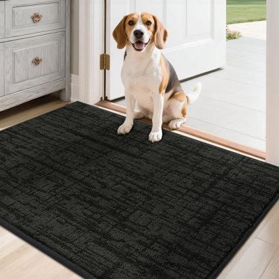 Tapis de porte antidérapant avec envers en TPR - Doux, lavable, paillasson à profil bas pour l'entrée intérieure, parfait pour les animaux de compagnie et la famille