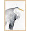 Ardeidae 2 Print by Thom Filicia