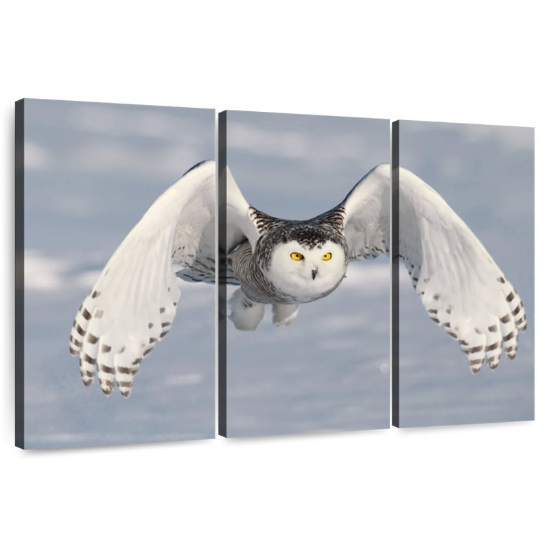 Brampt Owl In Winter, 20" H x 33" W