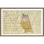 Owl - Mennonite Ledger Drawing Giclee Print-62814847-62814848-62814849