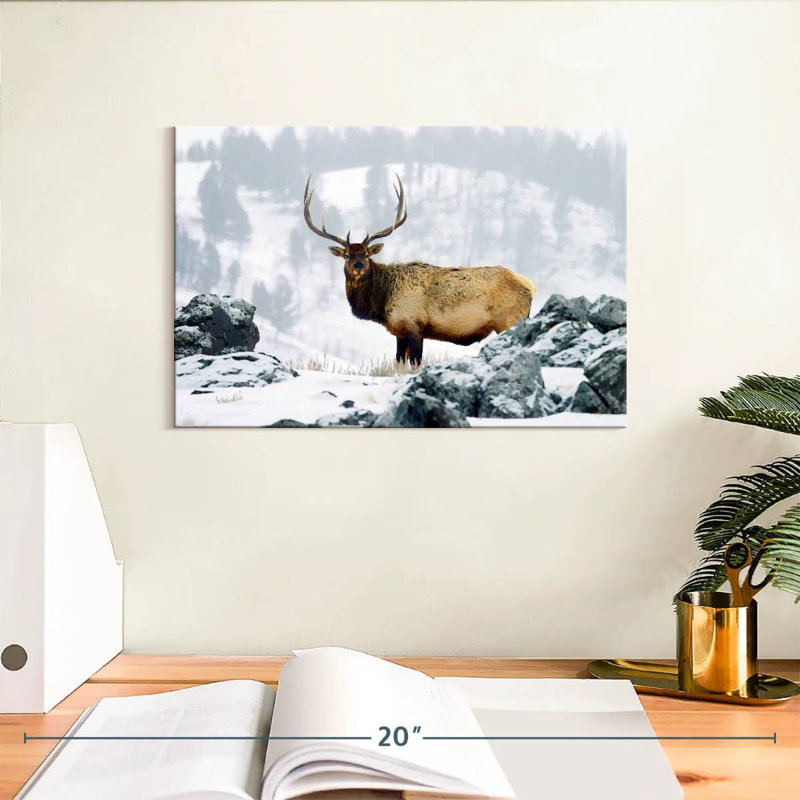 Wyoming Wapiti