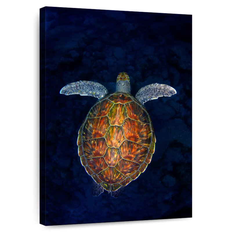 Brampt Turtle In The Abyss, 39" H x 26" W