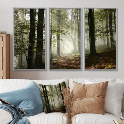 «Light In Dense Fall Forest With Fog», ensemble d'art mural sur toile encadré paysage