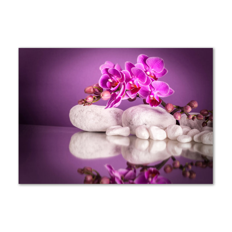 Pink Orchid - Wrapped Canvas Print